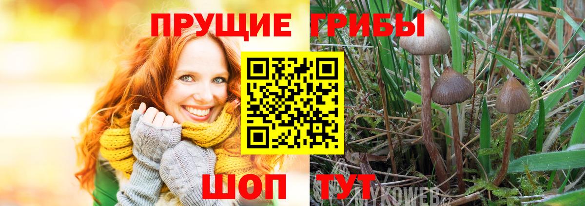 Камышлов  Галлюциногенные грибы мухоморы  Псилоцибиновые грибы Psilocybine cubensis  Вход с VPN 