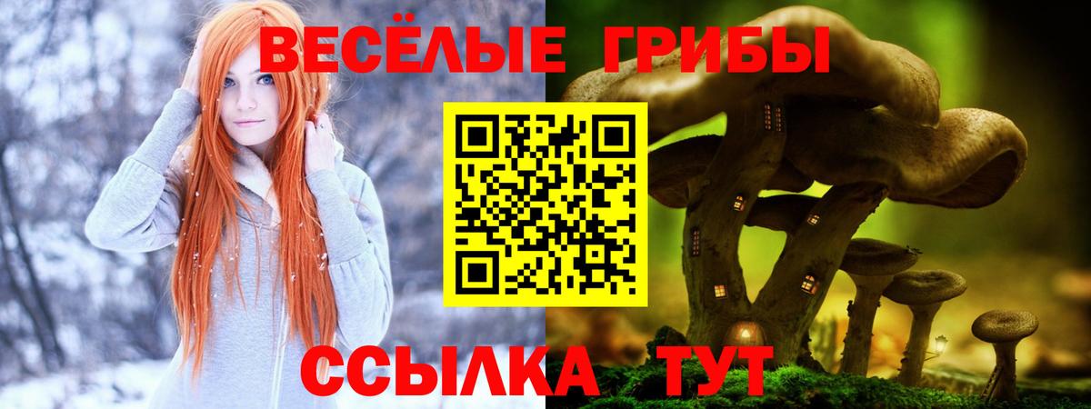 Псилоцибиновые грибы Cubensis Камышлов